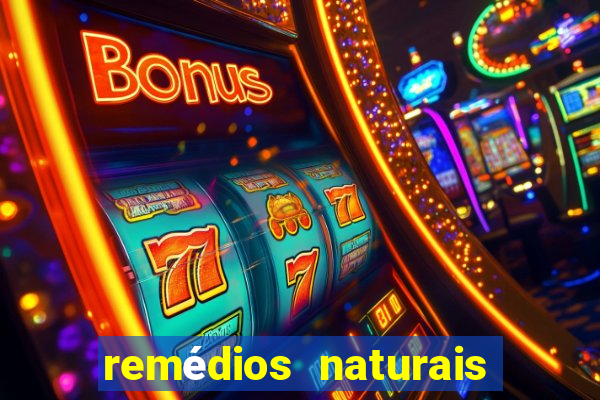remédios naturais para diabetes